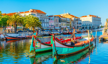 SmoothMove - Dual Citizenship Through Real Estate Investment